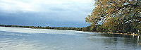 Lake Simcoe shore north of the Trent Severn entrance
